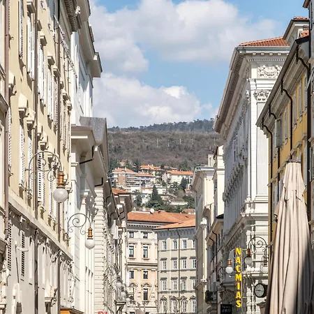 Apartman Eve Collection - Center *