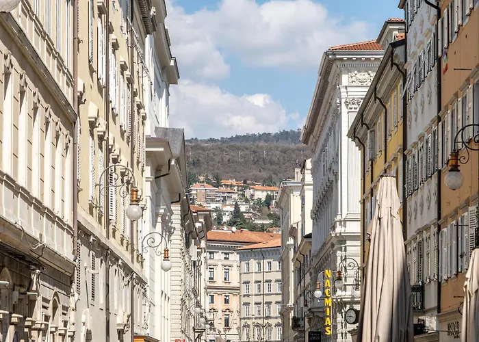 Apartman Eve Collection - Center *